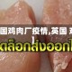 【英国鸡肉厂疫情,英国 鸡肉】