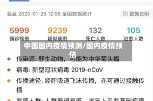 中国国内疫情预测/国内疫情预估