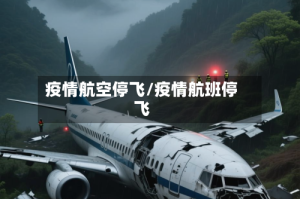 疫情航空停飞/疫情航班停飞