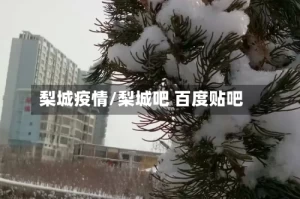 梨城疫情/梨城吧 百度贴吧