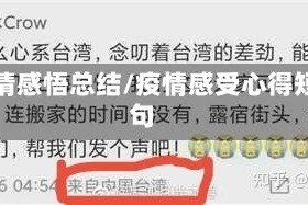 疫情感悟总结/疫情感受心得短句