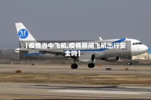 【疫情当中飞机,疫情期间飞机出行安全吗】