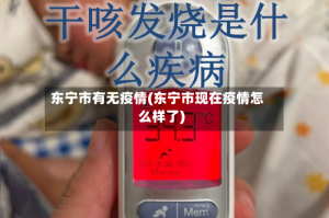 东宁市有无疫情(东宁市现在疫情怎么样了)