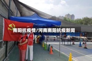 南阳抗疫情/河南南阳抗疫新闻