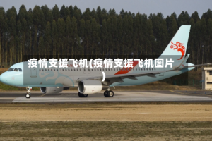 疫情支援飞机(疫情支援飞机图片)