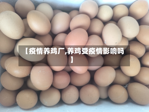 【疫情养鸡厂,养鸡受疫情影响吗】-第1张图片