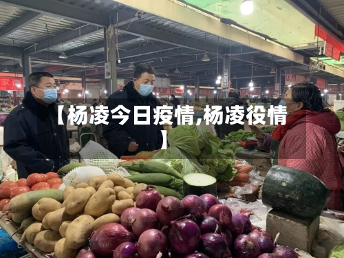 【杨凌今日疫情,杨凌役情】-第2张图片