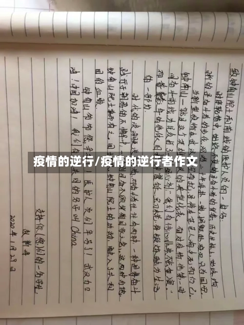 疫情的逆行/疫情的逆行者作文-第1张图片