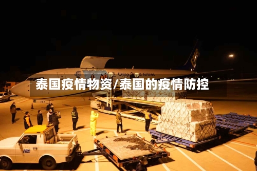 泰国疫情物资/泰国的疫情防控-第1张图片