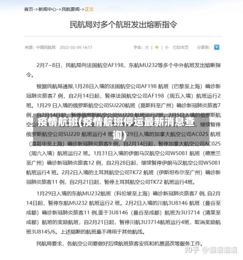 疫情航班(疫情航班停运最新消息查询)-第1张图片