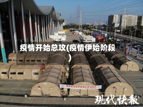 疫情开始总攻(疫情伊始阶段)-第2张图片