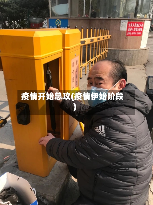 疫情开始总攻(疫情伊始阶段)-第1张图片