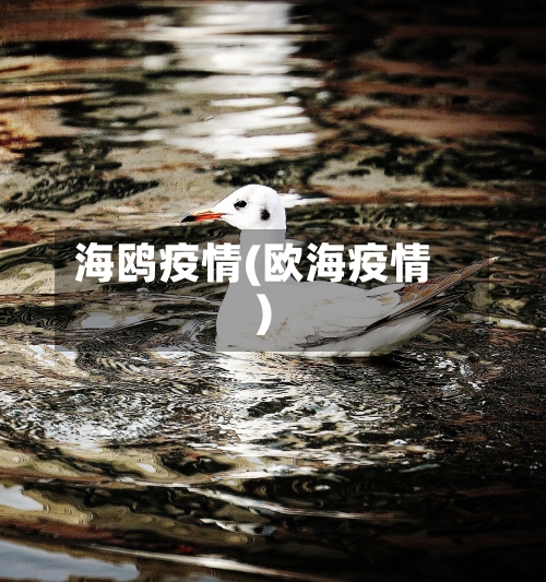 海鸥疫情(欧海疫情)-第3张图片
