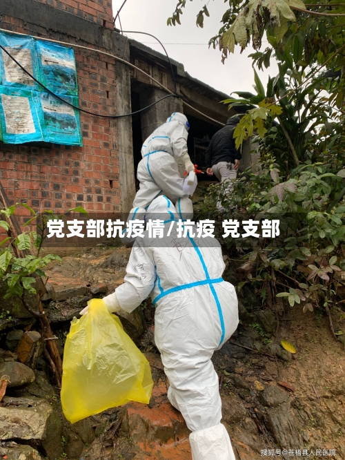 党支部抗疫情/抗疫 党支部-第3张图片