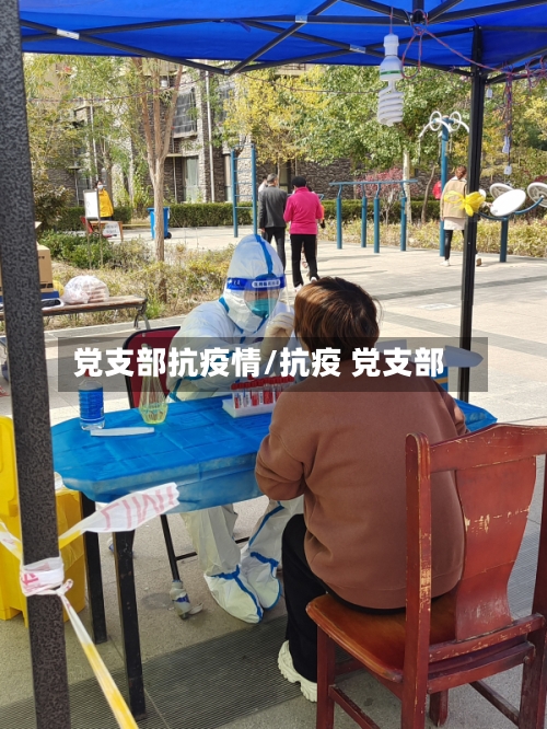 党支部抗疫情/抗疫 党支部-第2张图片