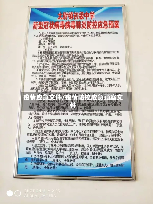 疫情应急文件/疫情防控应急预案文件-第2张图片