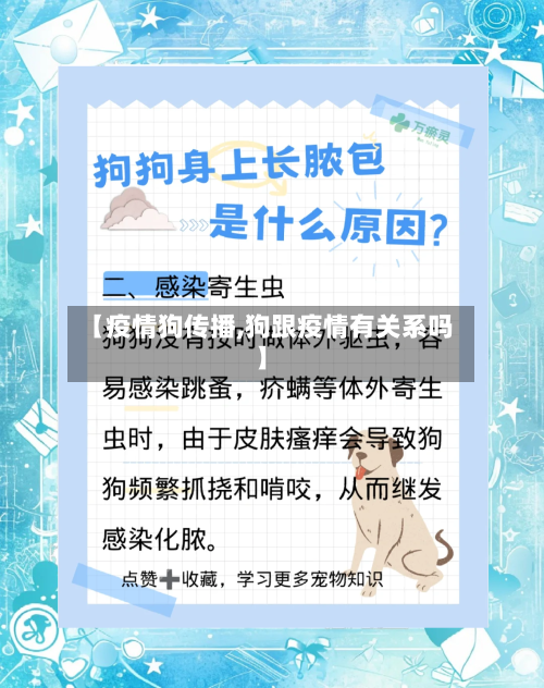 【疫情狗传播,狗跟疫情有关系吗】-第1张图片