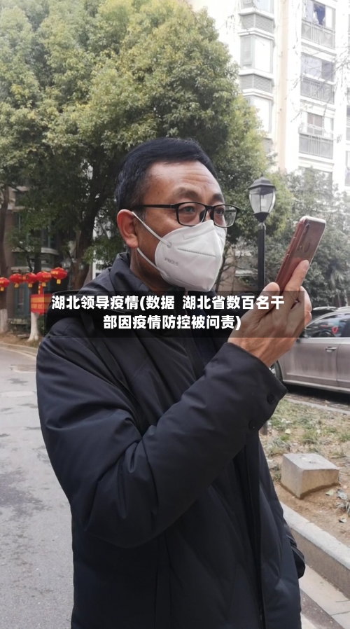 湖北领导疫情(数据 湖北省数百名干部因疫情防控被问责)-第1张图片