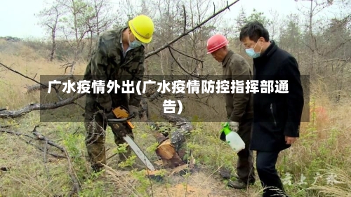 广水疫情外出(广水疫情防控指挥部通告)-第1张图片
