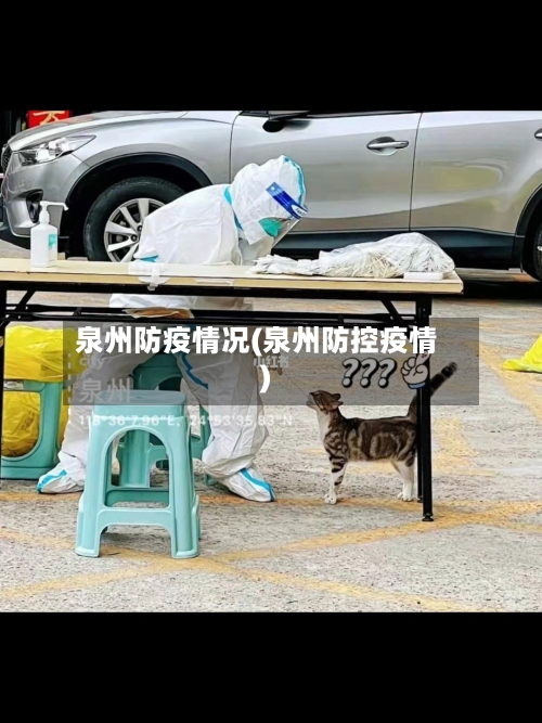 泉州防疫情况(泉州防控疫情)-第1张图片