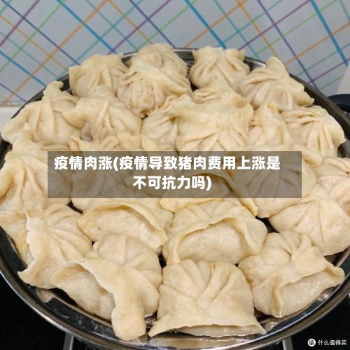 疫情肉涨(疫情导致猪肉费用上涨是不可抗力吗)-第2张图片