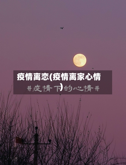 疫情离恋(疫情离家心情)-第1张图片