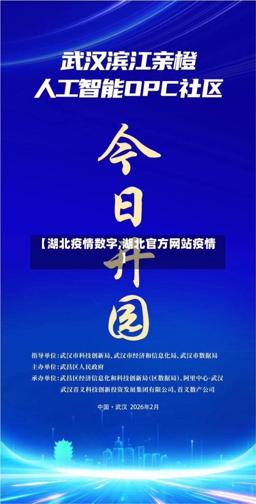【湖北疫情数字,湖北官方网站疫情】-第2张图片