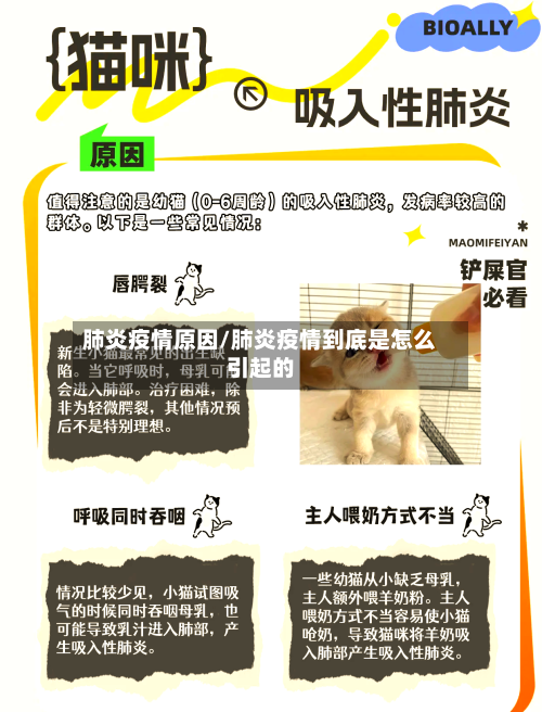 肺炎疫情原因/肺炎疫情到底是怎么引起的-第3张图片