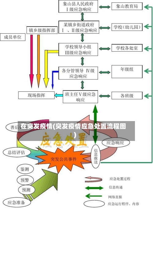 在突发疫情(突发疫情应急处置流程图)-第2张图片