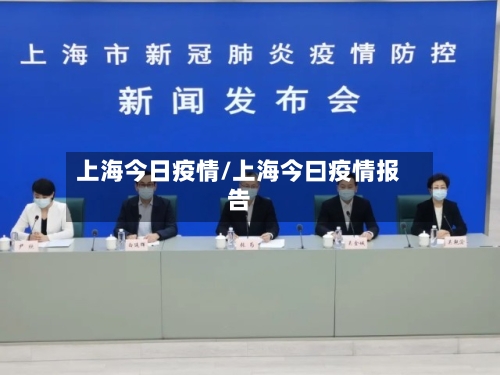 上海今日疫情/上海今曰疫情报告-第1张图片