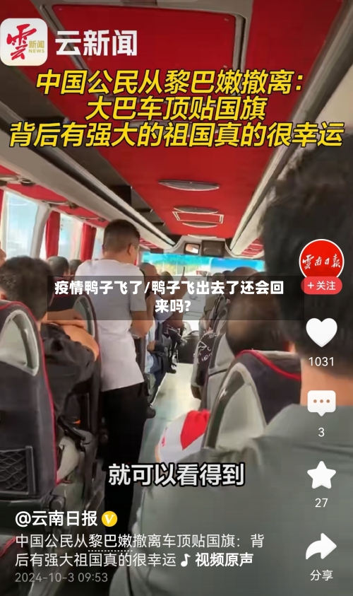 疫情鸭子飞了/鸭子飞出去了还会回来吗?-第3张图片