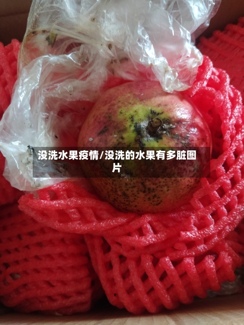 没洗水果疫情/没洗的水果有多脏图片-第2张图片