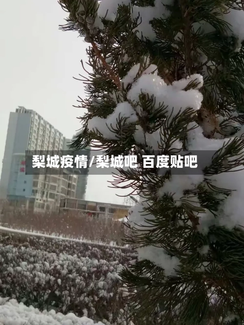 梨城疫情/梨城吧 百度贴吧-第1张图片