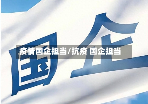 疫情国企担当/抗疫 国企担当-第1张图片