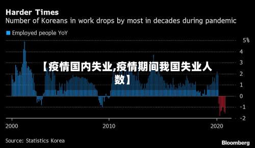 【疫情国内失业,疫情期间我国失业人数】-第1张图片
