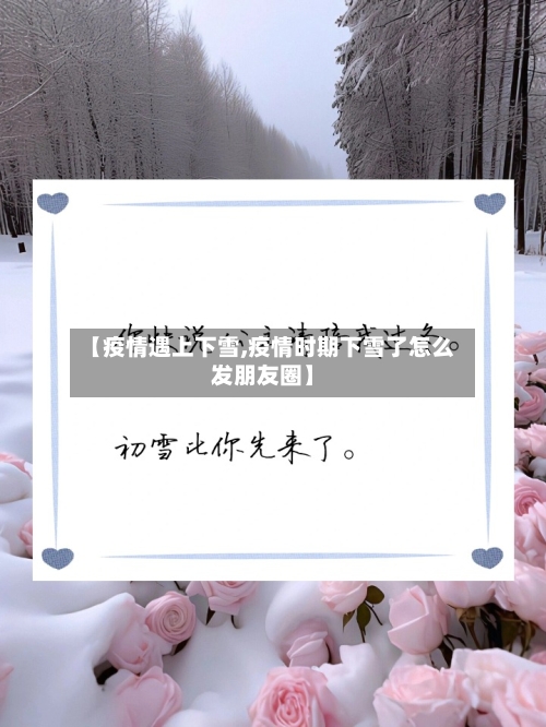 【疫情遇上下雪,疫情时期下雪了怎么发朋友圈】-第2张图片