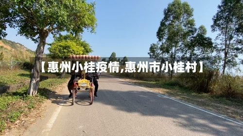 【惠州小桂疫情,惠州市小桂村】-第3张图片