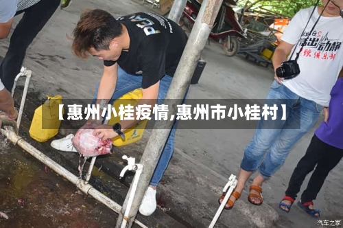 【惠州小桂疫情,惠州市小桂村】-第1张图片