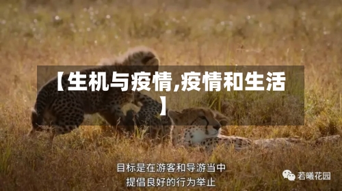 【生机与疫情,疫情和生活】-第2张图片