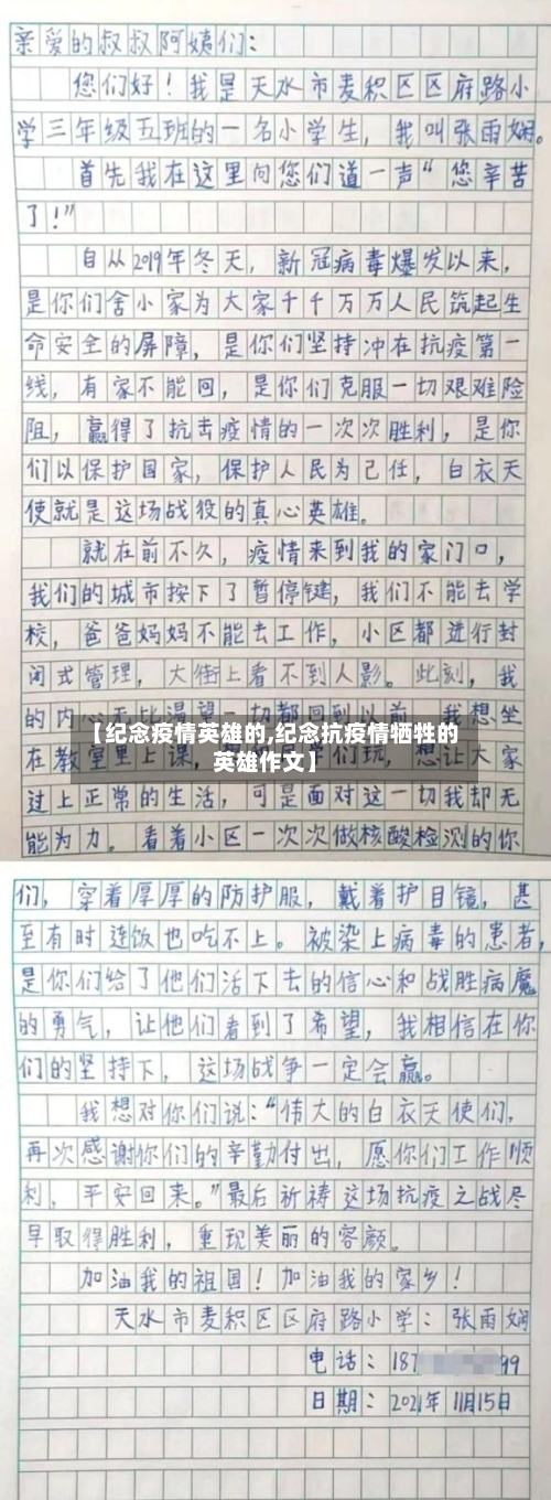 【纪念疫情英雄的,纪念抗疫情牺牲的英雄作文】-第3张图片