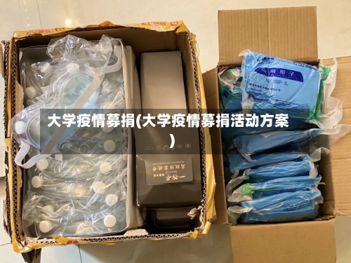大学疫情募捐(大学疫情募捐活动方案)-第2张图片