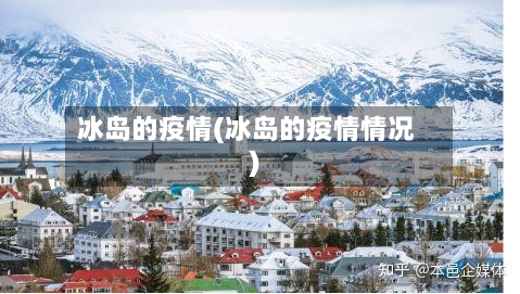 冰岛的疫情(冰岛的疫情情况)-第1张图片