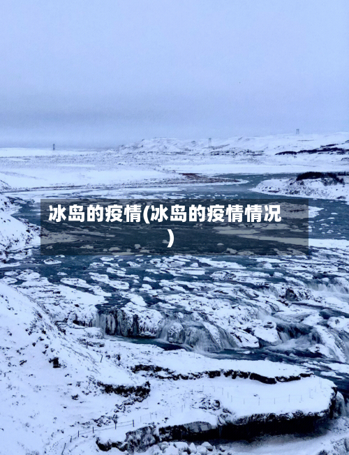 冰岛的疫情(冰岛的疫情情况)-第3张图片