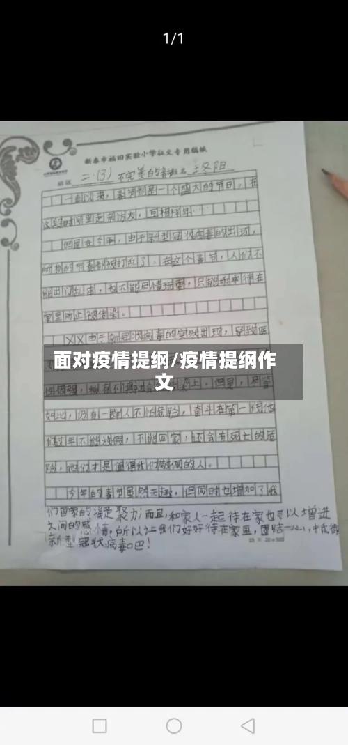 面对疫情提纲/疫情提纲作文-第2张图片